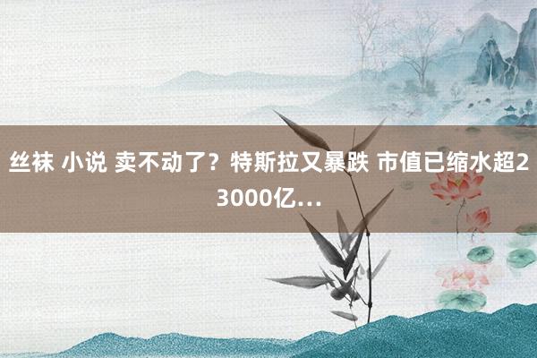 丝袜 小说 卖不动了？特斯拉又暴跌 市值已缩水超23000亿…