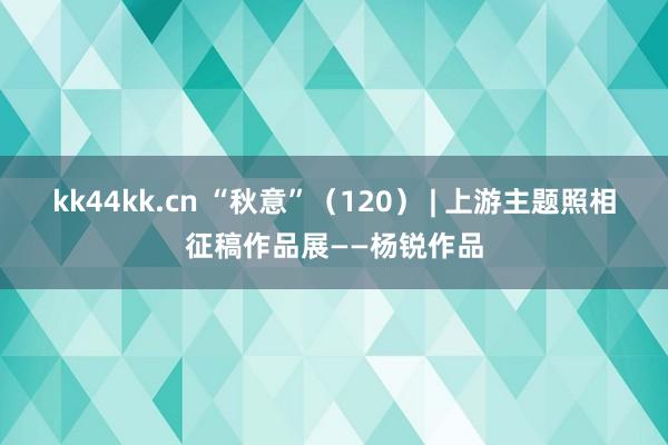 kk44kk.cn “秋意”（120） | 上游主题照相征稿作品展——杨锐作品