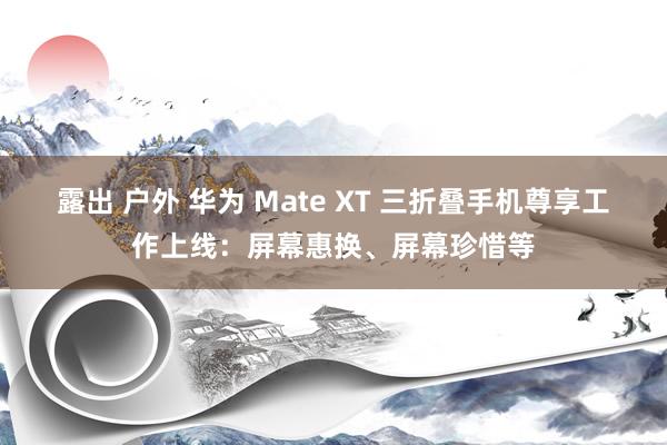 露出 户外 华为 Mate XT 三折叠手机尊享工作上线：屏幕惠换、屏幕珍惜等