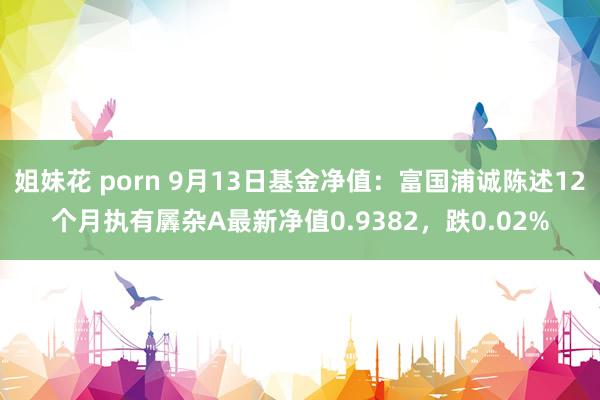 姐妹花 porn 9月13日基金净值：富国浦诚陈述12个月执有羼杂A最新净值0.9382，跌0.02%