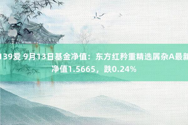 139爱 9月13日基金净值：东方红矜重精选羼杂A最新净值1.5665，跌0.24%