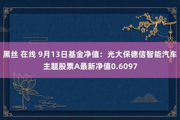 黑丝 在线 9月13日基金净值：光大保德信智能汽车主题股票A最新净值0.6097