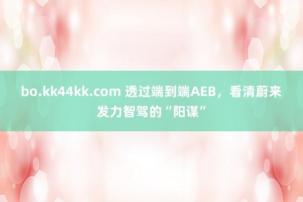 bo.kk44kk.com 透过端到端AEB，看清蔚来发力智驾的“阳谋”