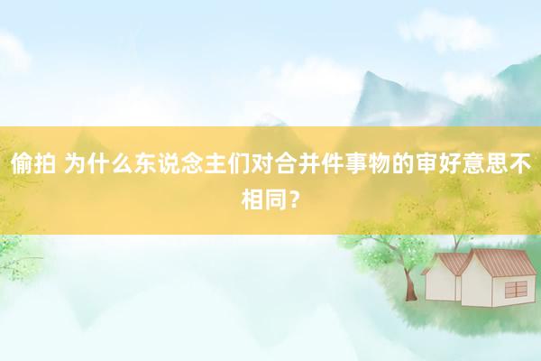 偷拍 为什么东说念主们对合并件事物的审好意思不相同？