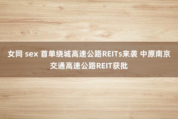 女同 sex 首单绕城高速公路REITs来袭 中原南京交通高速公路REIT获批