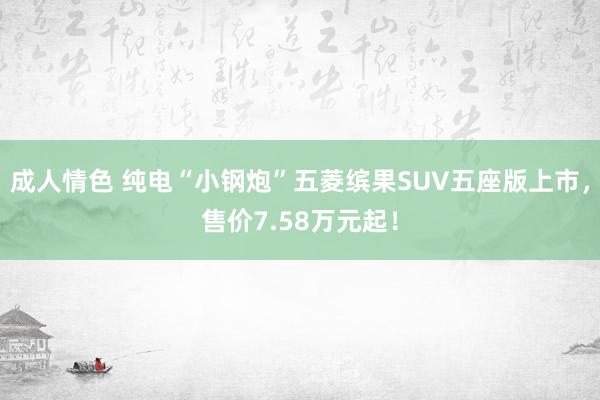 成人情色 纯电“小钢炮”五菱缤果SUV五座版上市，售价7.58万元起！