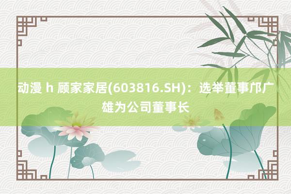 动漫 h 顾家家居(603816.SH)：选举董事邝广雄为公司董事长