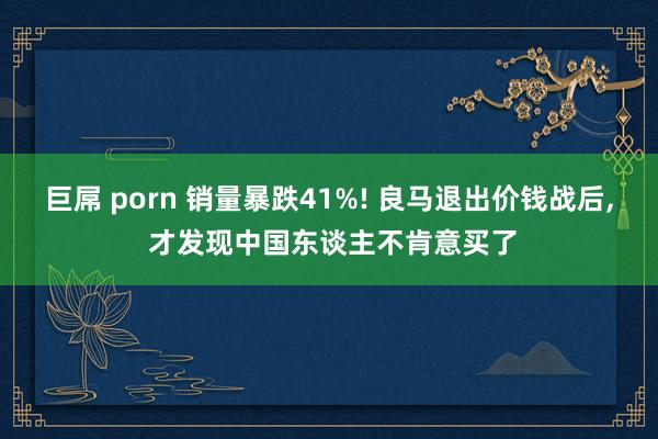 巨屌 porn 销量暴跌41%! 良马退出价钱战后， 才发现中国东谈主不肯意买了