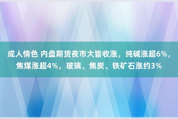 成人情色 内盘期货夜市大皆收涨，纯碱涨超6%，焦煤涨超4%，玻璃、焦炭、铁矿石涨约3%