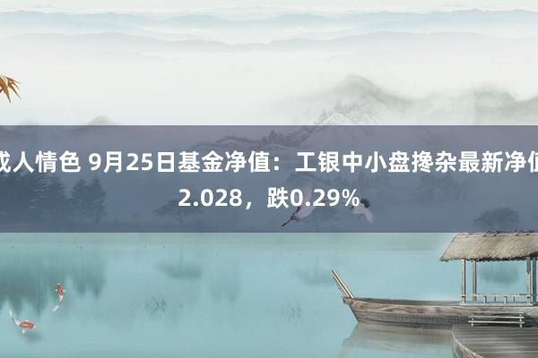 成人情色 9月25日基金净值：工银中小盘搀杂最新净值2.028，跌0.29%