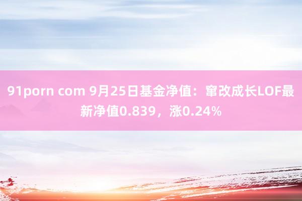 91porn com 9月25日基金净值：窜改成长LOF最新净值0.839，涨0.24%