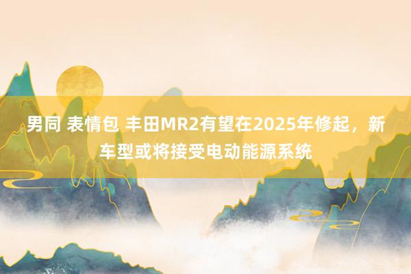 男同 表情包 丰田MR2有望在2025年修起，新车型或将接受电动能源系统