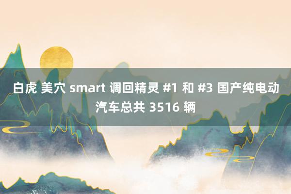 白虎 美穴 smart 调回精灵 #1 和 #3 国产纯电动汽车总共 3516 辆