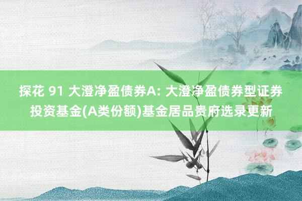 探花 91 大澄净盈债券A: 大澄净盈债券型证券投资基金(A类份额)基金居品贵府选录更新