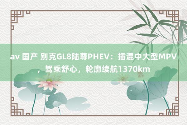 av 国产 别克GL8陆尊PHEV：插混中大型MPV，驾乘舒心，轮廓续航1370km