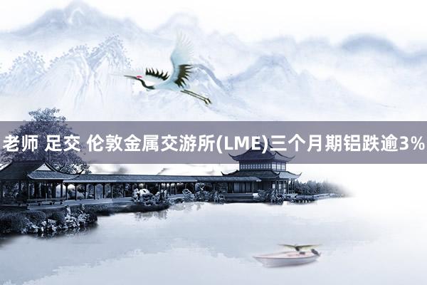 老师 足交 伦敦金属交游所(LME)三个月期铝跌逾3%