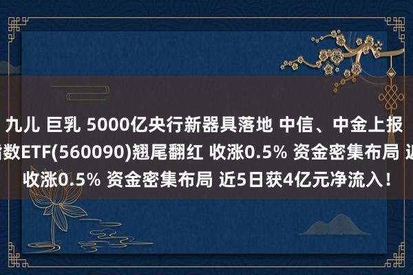 九儿 巨乳 5000亿央行新器具落地 中信、中金上报 中金开封涨板 证券指数ETF(560090)翘尾翻红 收涨0.5% 资金密集布局 近5日获4亿元净流入！