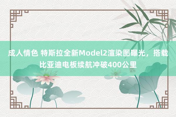 成人情色 特斯拉全新Model2渲染图曝光，搭载比亚迪电板续航冲破400公里