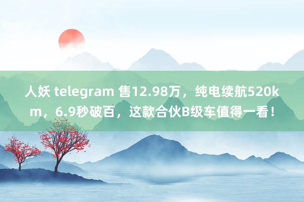 人妖 telegram 售12.98万，纯电续航520km，6.9秒破百，这款合伙B级车值得一看！