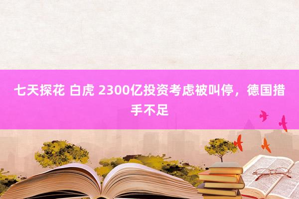 七天探花 白虎 2300亿投资考虑被叫停，德国措手不足