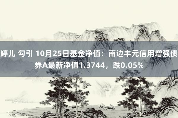 婷儿 勾引 10月25日基金净值：南边丰元信用增强债券A最新净值1.3744，跌0.05%