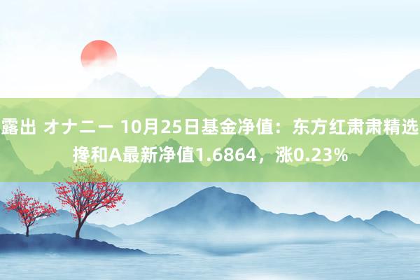 露出 オナニー 10月25日基金净值：东方红肃肃精选搀和A最新净值1.6864，涨0.23%