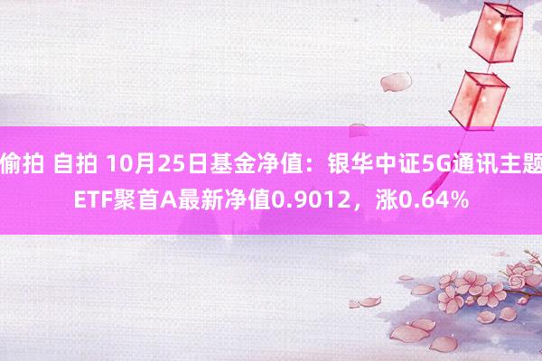 偷拍 自拍 10月25日基金净值：银华中证5G通讯主题ETF聚首A最新净值0.9012，涨0.64%