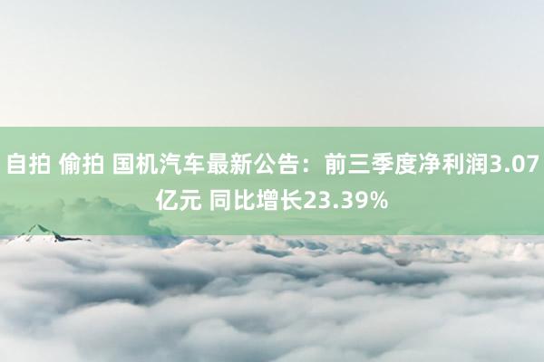 自拍 偷拍 国机汽车最新公告：前三季度净利润3.07亿元 同比增长23.39%