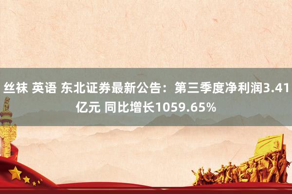 丝袜 英语 东北证券最新公告：第三季度净利润3.41亿元 同比增长1059.65%