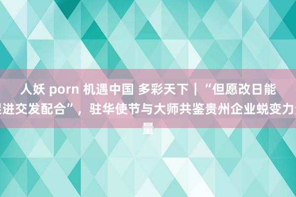 人妖 porn 机遇中国 多彩天下｜“但愿改日能促进交发配合”，驻华使节与大师共鉴贵州企业蜕变力量