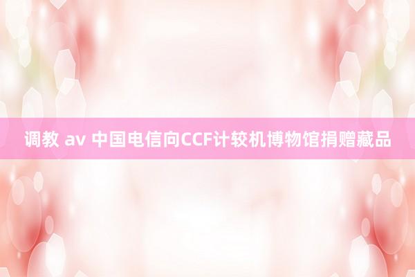 调教 av 中国电信向CCF计较机博物馆捐赠藏品