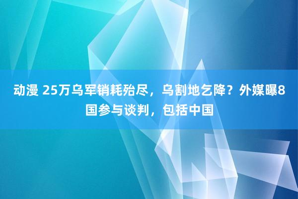 动漫 25万乌军销耗殆尽，乌割地乞降？外媒曝8国参与谈判，包括中国