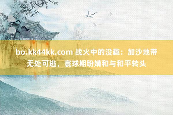 bo.kk44kk.com 战火中的没趣：加沙地带无处可逃，寰球期盼媾和与和平转头