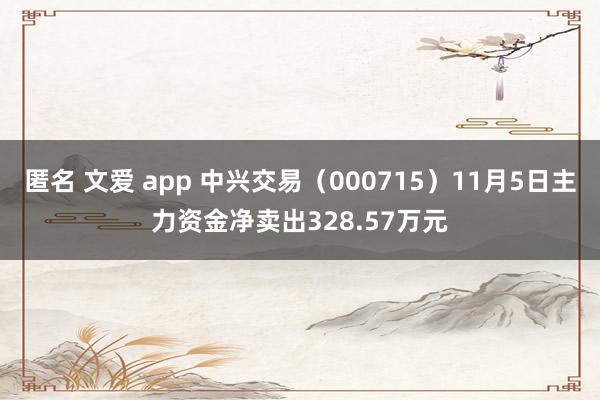 匿名 文爱 app 中兴交易（000715）11月5日主力资金净卖出328.57万元