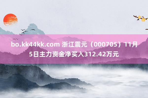 bo.kk44kk.com 浙江震元（000705）11月5日主力资金净买入312.42万元