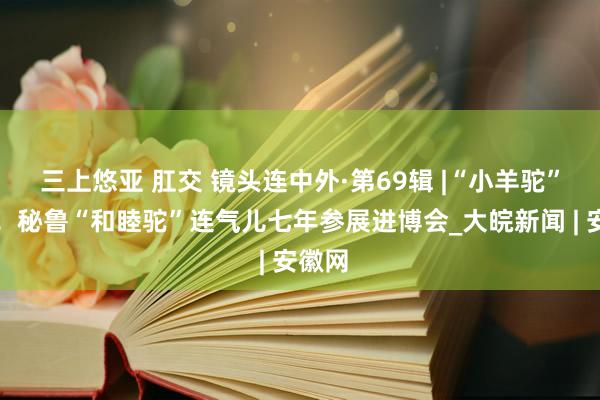 三上悠亚 肛交 镜头连中外·第69辑 |“小羊驼”来了！秘鲁“和睦驼”连气儿七年参展进博会_大皖新闻 | 安徽网