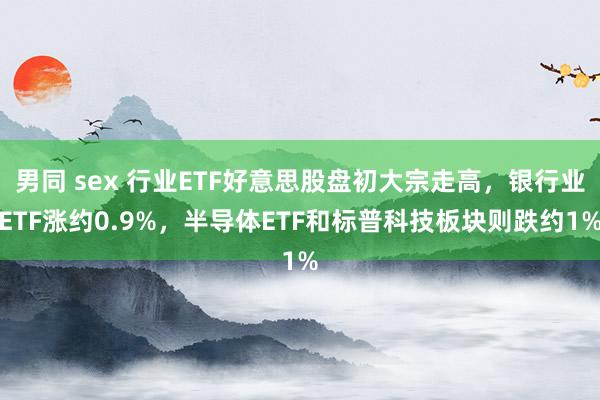 男同 sex 行业ETF好意思股盘初大宗走高，银行业ETF涨约0.9%，半导体ETF和标普科技板块则跌约1%