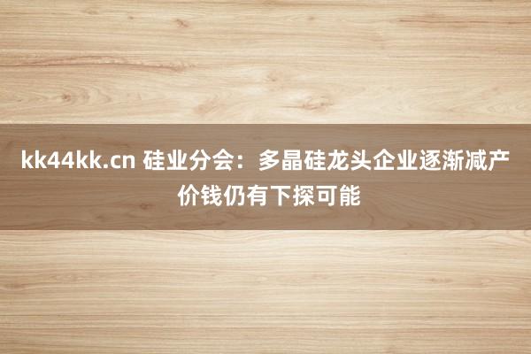 kk44kk.cn 硅业分会：多晶硅龙头企业逐渐减产 价钱仍有下探可能