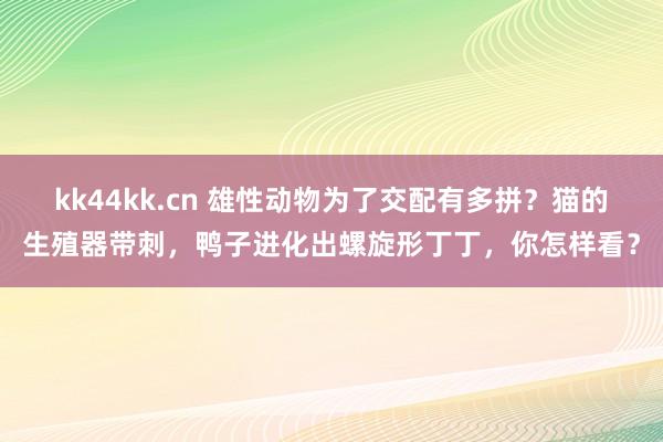 kk44kk.cn 雄性动物为了交配有多拼？猫的生殖器带刺，鸭子进化出螺旋形丁丁，你怎样看？