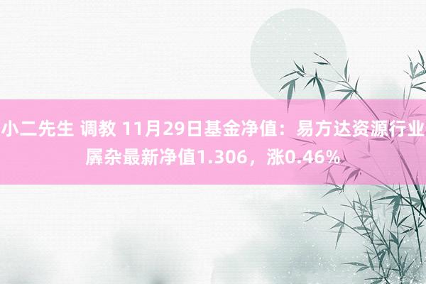 小二先生 调教 11月29日基金净值：易方达资源行业羼杂最新净值1.306，涨0.46%