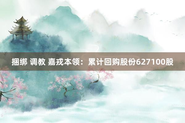 捆绑 调教 嘉戎本领：累计回购股份627100股