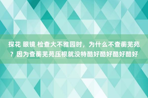 探花 眼镜 检查大不雅园时，为什么不查蘅芜苑？因为查蘅芜苑压根就没特酷好酷好酷好酷好