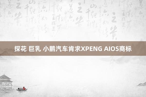 探花 巨乳 小鹏汽车肯求XPENG AIOS商标