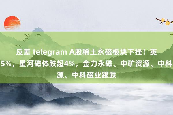 反差 telegram A股稀土永磁板块下挫！英洛华跌超5%，星河磁体跌超4%，金力永磁、中矿资源、中科磁业跟跌