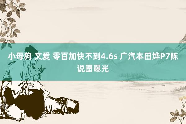 小母狗 文爱 零百加快不到4.6s 广汽本田烨P7陈说图曝光