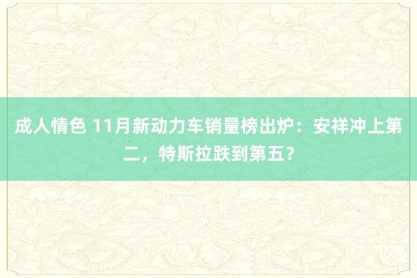 成人情色 11月新动力车销量榜出炉：安祥冲上第二，特斯拉跌到第五？