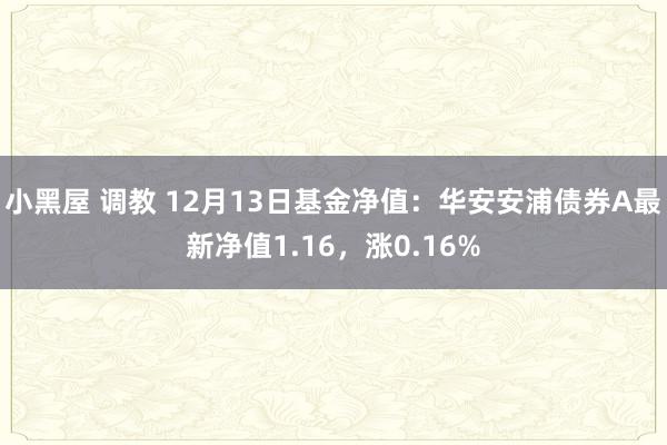 小黑屋 调教 12月13日基金净值：华安安浦债券A最新净值1.16，涨0.16%
