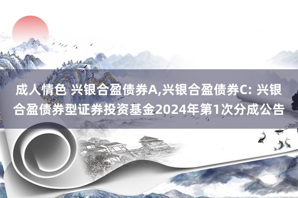 成人情色 兴银合盈债券A，兴银合盈债券C: 兴银合盈债券型证券投资基金2024年第1次分成公告