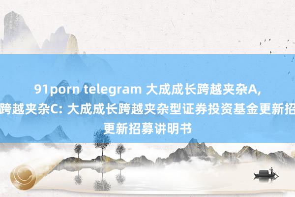 91porn telegram 大成成长跨越夹杂A，大成成长跨越夹杂C: 大成成长跨越夹杂型证券投资基金更新招募讲明书