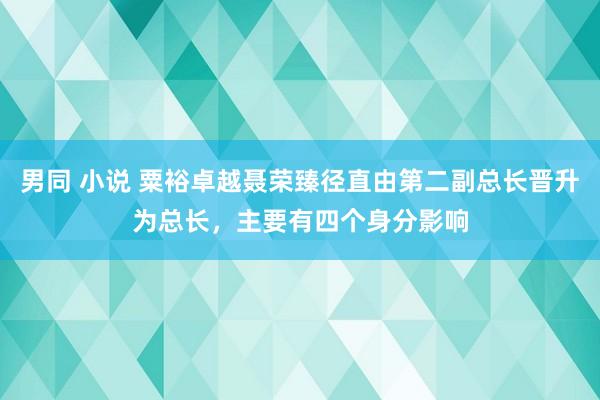 男同 小说 粟裕卓越聂荣臻径直由第二副总长晋升为总长，主要有四个身分影响